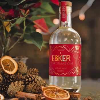 Gin de Noël Esker 2