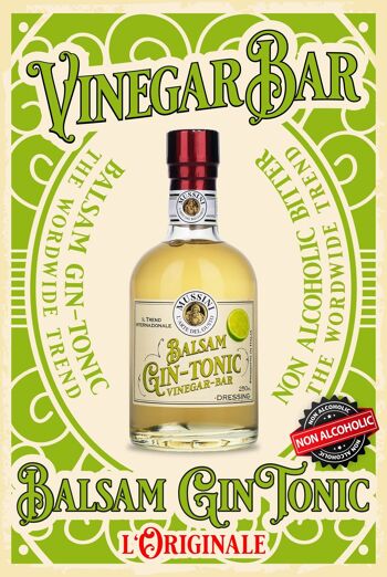 M2266 - BALSAM GIN TONIC - VinegarBar 250ml 4