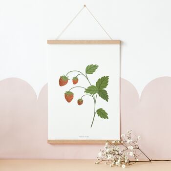 Affiche - fraise des bois / fraise 1