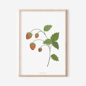 Affiche - fraise des bois / fraise 2