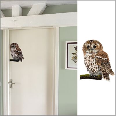Tawny Owl Illustration Wall Decal