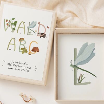 ABC Cards Forest in Grass Paper Box