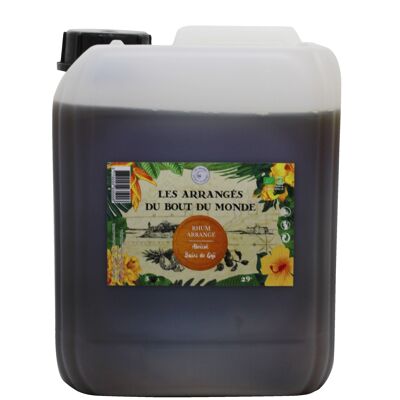 Arranged rum Apricot Goji can of 5L