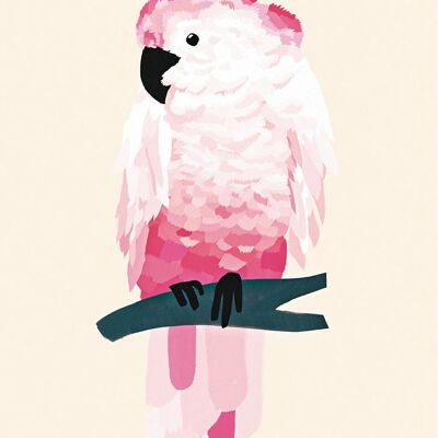 Michelle Carlslund - Poster - 50 x 70 - Pink Cockatoo