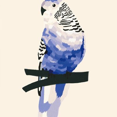 Michelle Carlslund - Poster - 50 x 70 - Blue Bird