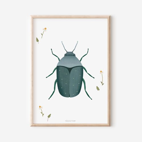 Poster Käfer - Kinderzimmer