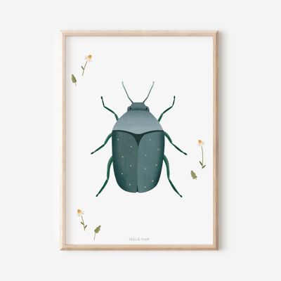 Poster Beetle - Children's room