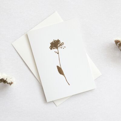Foil blocked Allium card - Brass on Ivory