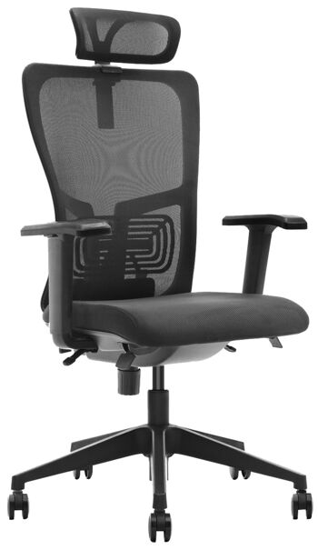 Chaise de bureau Pietramelara Noir 16x45cm 1