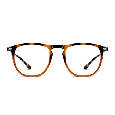 Lunettes de Lecture DINO Tortoise Bronze +1 ,5 dioptrie