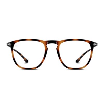 Lunettes de Lecture DINO Tortoise +3 dioptrie