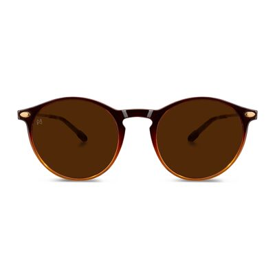 Lunettes de Soleil CRUZ Brown Bronze