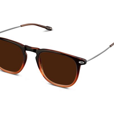 Lunettes de Soleil DINO Brown Bronze