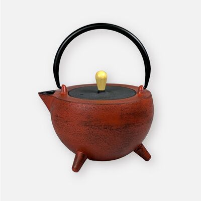 POP iron pot 1.0l cast iron teapot