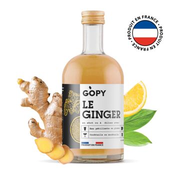 Le Ginger Gopy  - Concentré de Gingembre - 500 ML 2