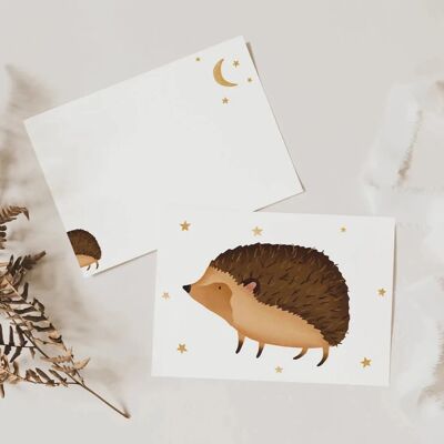Postcard hedgehog - children's card