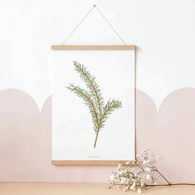Poster Christmas - fir branch