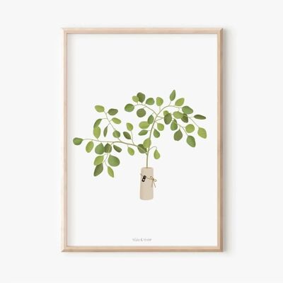 Affiche - Branche d'eucalyptus