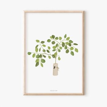 Affiche - Branche d'eucalyptus 1