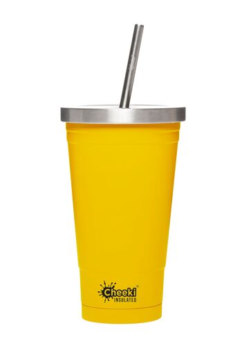 CHEEKI 500 ml [17 oz] Gobelet isolé en acier inoxydable, pour smoothies, jus et milkshakes. 5