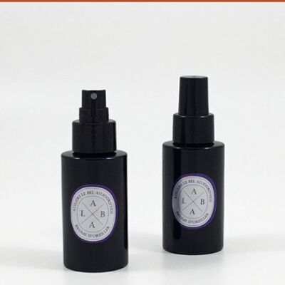 Spray d'ambiance rechargeable 100 ml - Parfum Cannelle - Mandarine