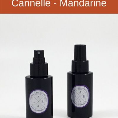 Spray d'ambiance rechargeable 100 ml - Parfum Cannelle - Mandarine