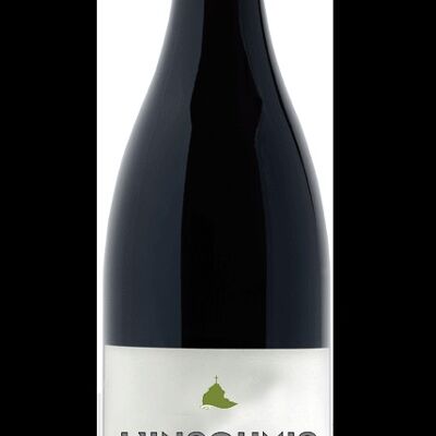 Insoumis Organic Syrah Without Sulfur - Red - 2018 - 75cl - Domaine Aubai Mema - Vin de France