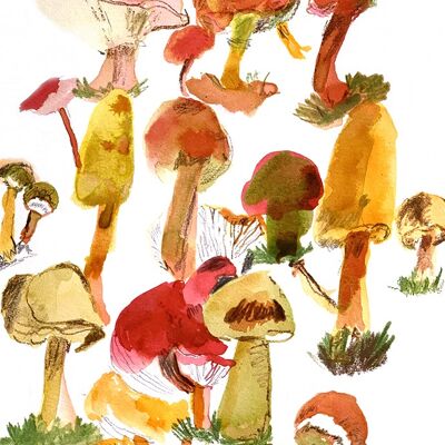 Enchanted Forest A6 postcard / 12 pieces