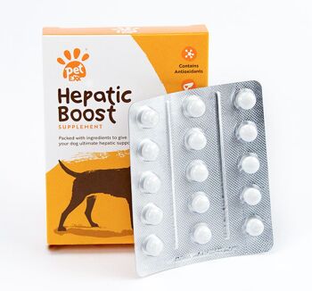 Supplément Hepatic Boost pour chats et chiens souffrant d'une maladie du foie 1