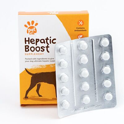 Hepatic Boost supplement for cats and dogs with liver disease