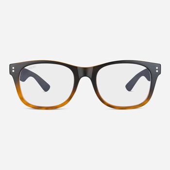 IDOL Hybrid - Lunettes anti-lumière bleue 1