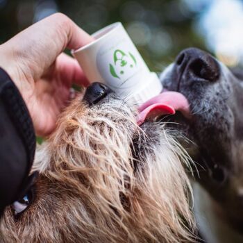 DOGGYPUMPER avec tour de cou turquoise - Récompensez la nourriture humide hygiénique avec style - Pratique pour les déplacements 2