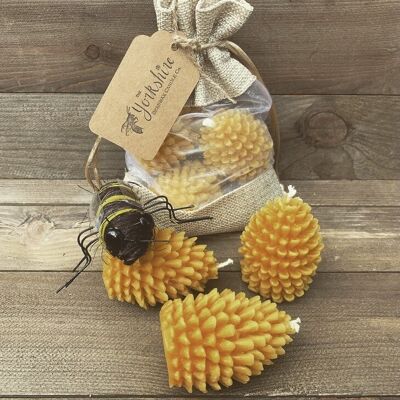 Beeswax Pine Cone Set
