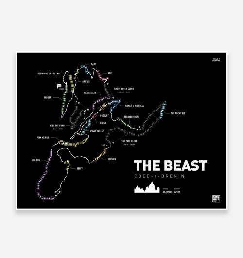 The Beast at Coed Y Brenin Art Print