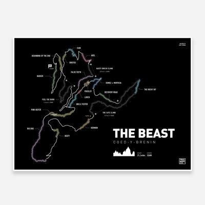 The Beast at Coed Y Brenin Art Print