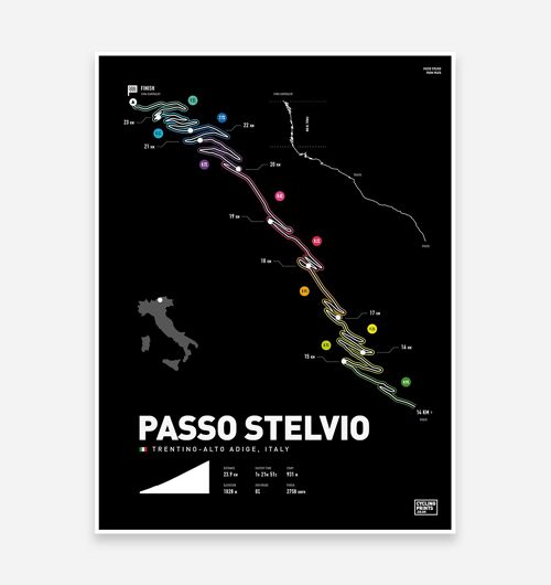 Stelvio Pass Art Print
