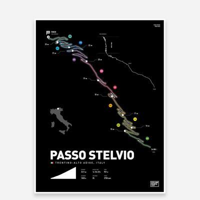 Stelvio Pass Art Print