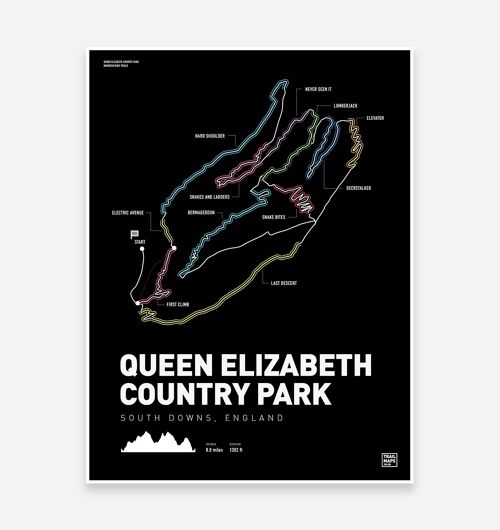 Queen Elizabeth Country Park Art Print