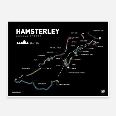Hamsterley Art Print