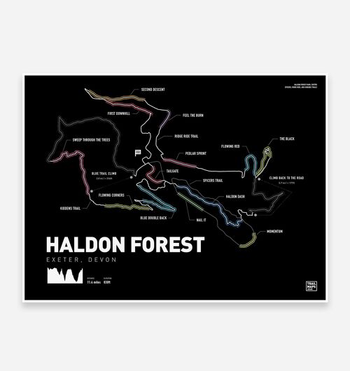 Haldon Forest Art Print