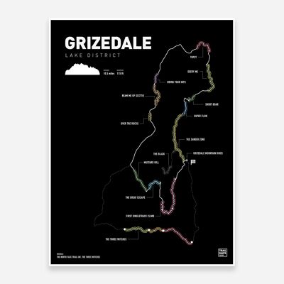 Grizedale MTB Art Print