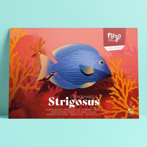 STRIGOSUS Paper figure Kit