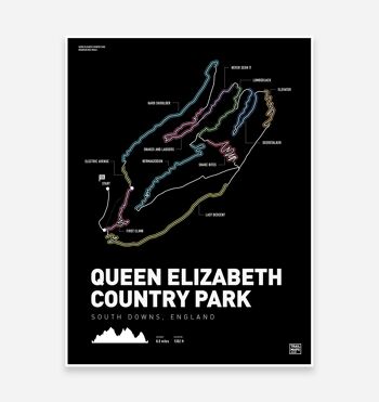 Queen Elizabeth Country Park Art Print 1