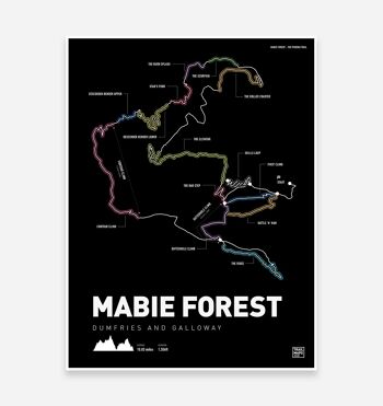 Mabie Forest Mountain Bike Trail Art Print 1