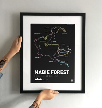 Mabie Forest Mountain Bike Trail Art Print 2