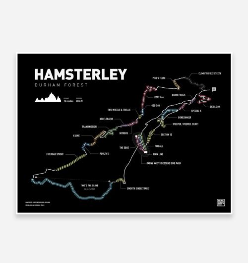 Hamsterley Art Print
