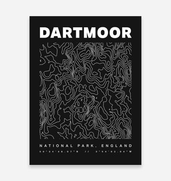 Dartmoor National Park Contours Art Print 1