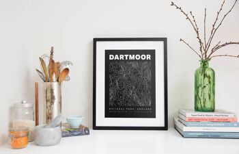 Dartmoor National Park Contours Art Print 3