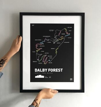 Dalby Forest Art Print 2