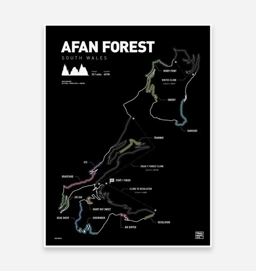 Afan Forest Art Print